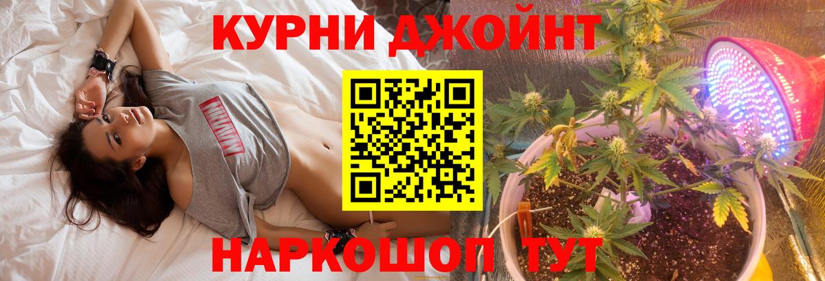 Фролово  Марихуана тримм  Конопля конопля  Вход с VPN  Бошки марихуана Bruce Banner  Каннабис AK-47 